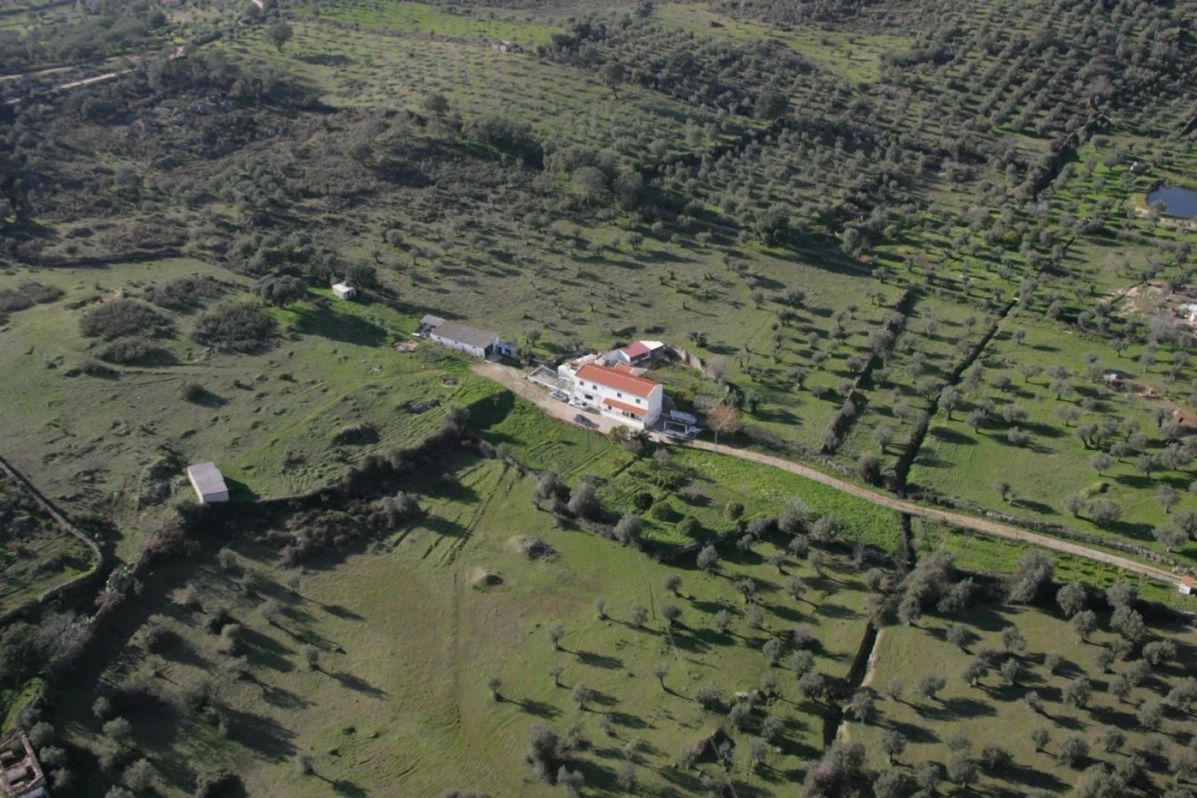 Quinta T5 para Venda em Sé e São Lourenço Foto 14
