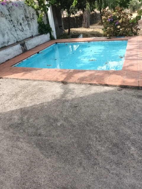 Quinta T5 para Venda em Sé e São Lourenço