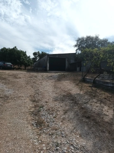 Quinta T5 para Venda em Sé e São Lourenço