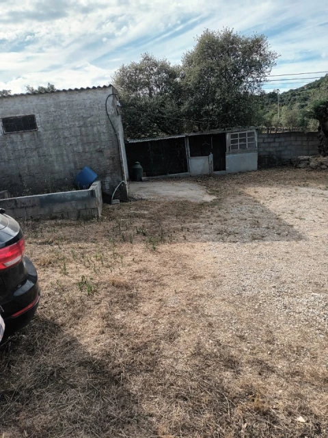 Quinta T5 para Venda em Sé e São Lourenço