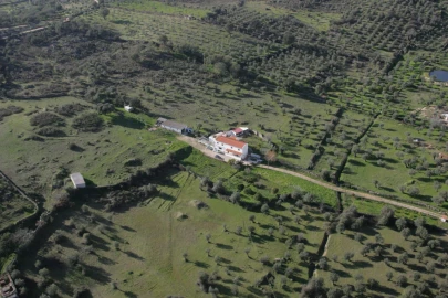 Quinta T5 para Venda em Sé e São Lourenço