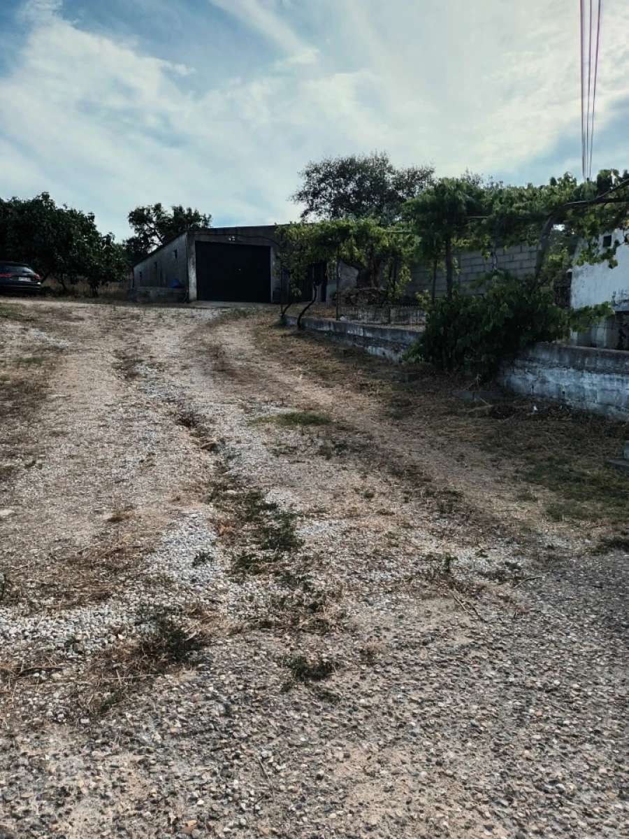 Quinta T5 para Venda em Sé e São Lourenço Foto 10