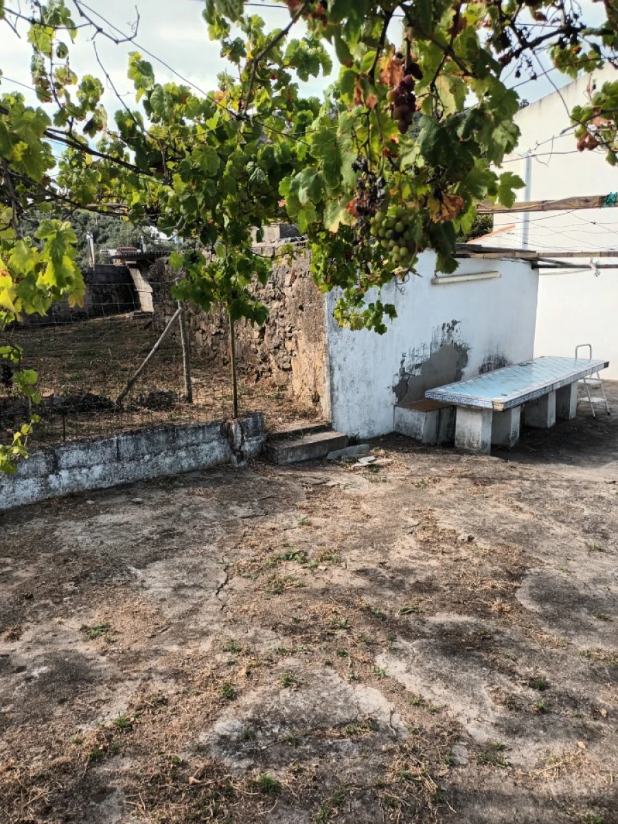 Quinta T5 para Venda em Sé e São Lourenço Foto 9
