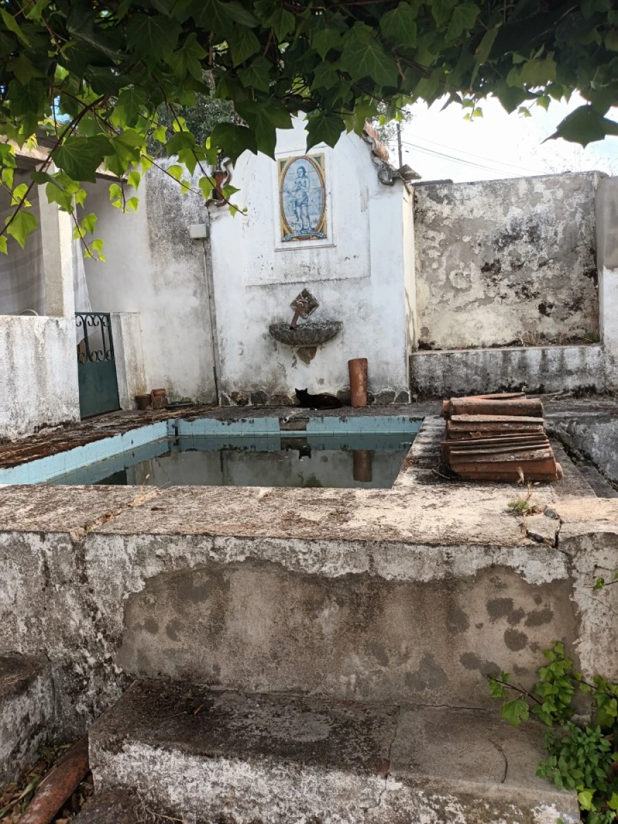 Quinta T5 para Venda em Sé e São Lourenço Foto 12