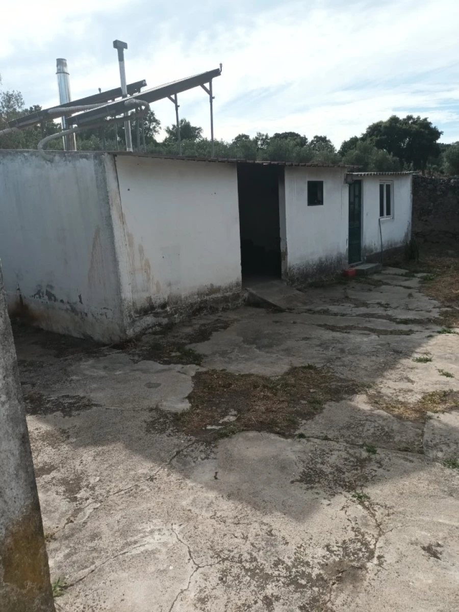 Quinta T5 para Venda em Sé e São Lourenço Foto 13