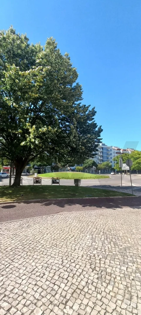 Apartamento T5 para Venda em Romeira e Várzea