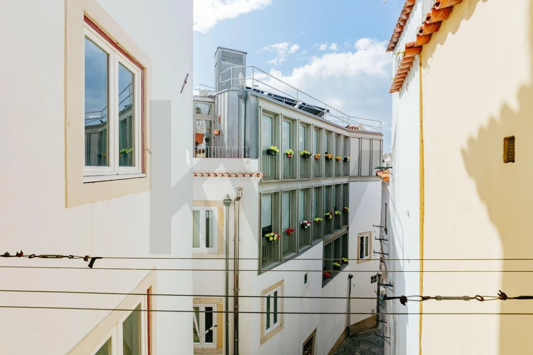 Apartamento T3 para Venda em Santa Maria Maior Foto 13