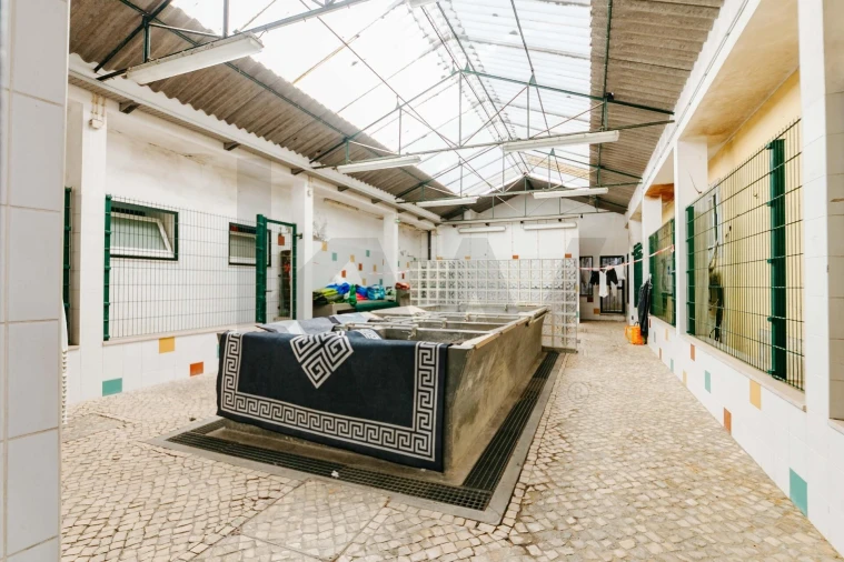 Apartamento T3 para Venda em Santa Maria Maior Foto 17