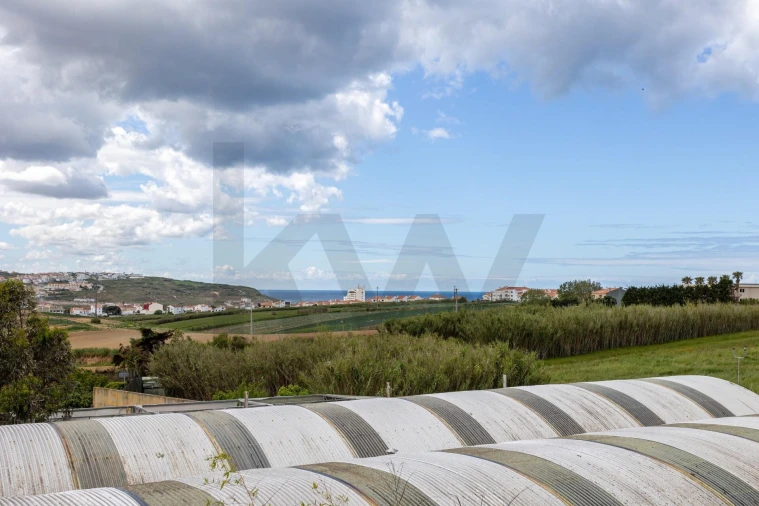 Moradia T3 para Venda em Lourinhã e Atalaia Foto 33