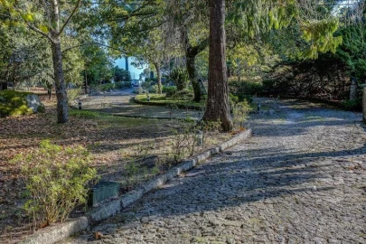 Quinta T5 para Venda em Monte Córdova