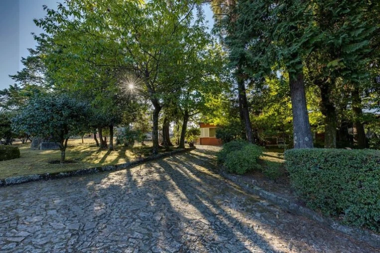 Quinta T5 para Venda em Monte Córdova Foto 6