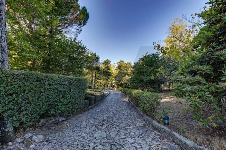 Quinta T5 para Venda em Monte Córdova Foto 16