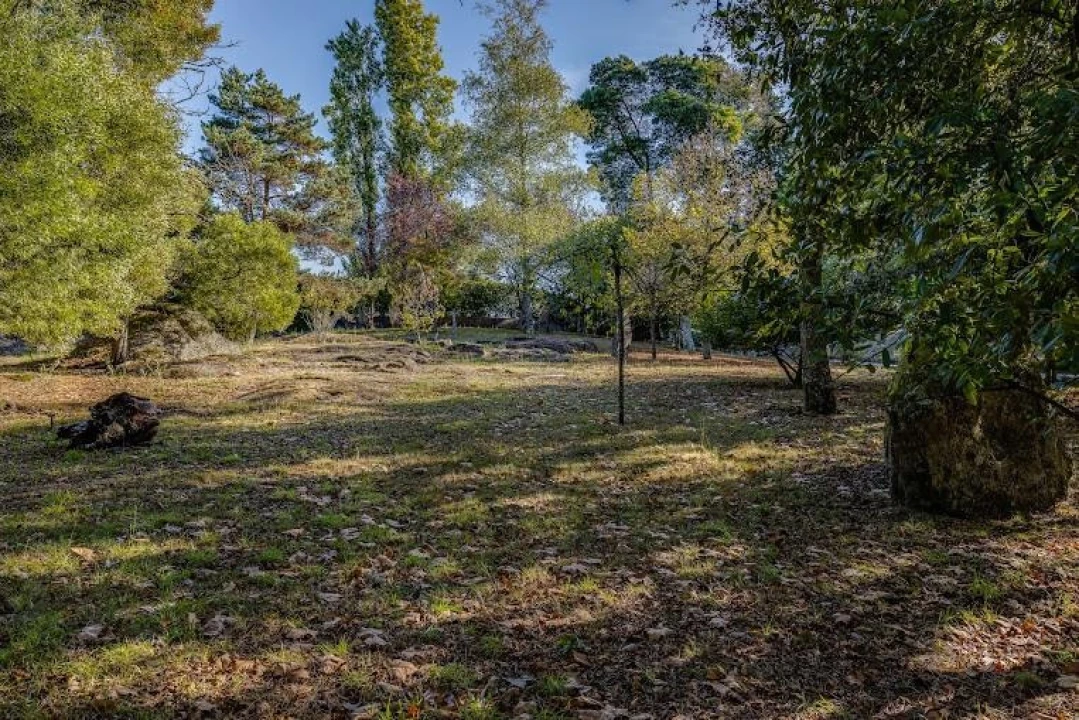 Quinta T5 para Venda em Monte Córdova Foto 8