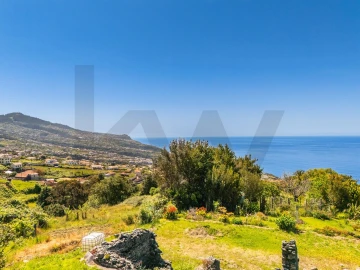 Terreno para Venda em Estreito da Calheta
