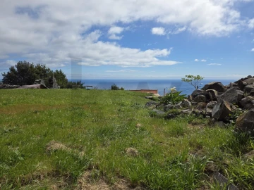 Terreno para Venda em Estreito da Calheta