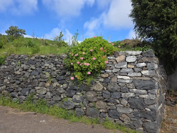 Terreno para Venda em Estreito da Calheta Foto 3