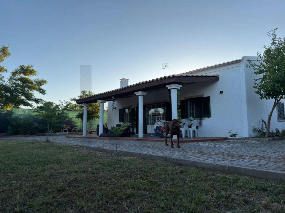 Moradia T2 para Venda em Castelo Branco Foto 6