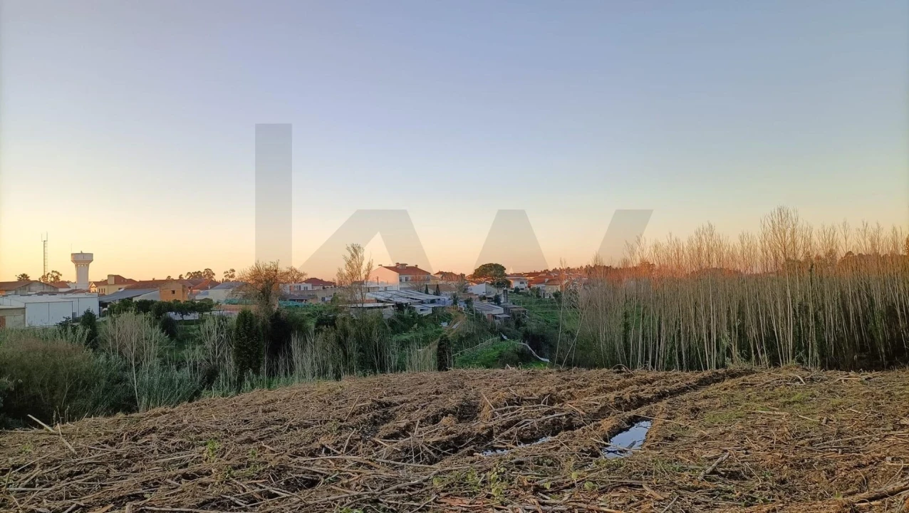 Terreno para Venda em Sangalhos Foto 6