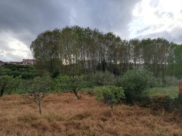 Terreno para Venda em Sangalhos