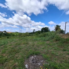 Terreno para Venda em Sangalhos