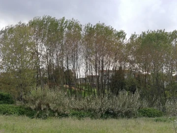 Terreno para Venda em Sangalhos