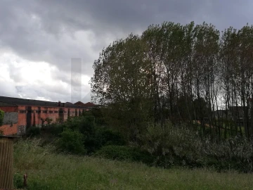 Terreno para Venda em Sangalhos