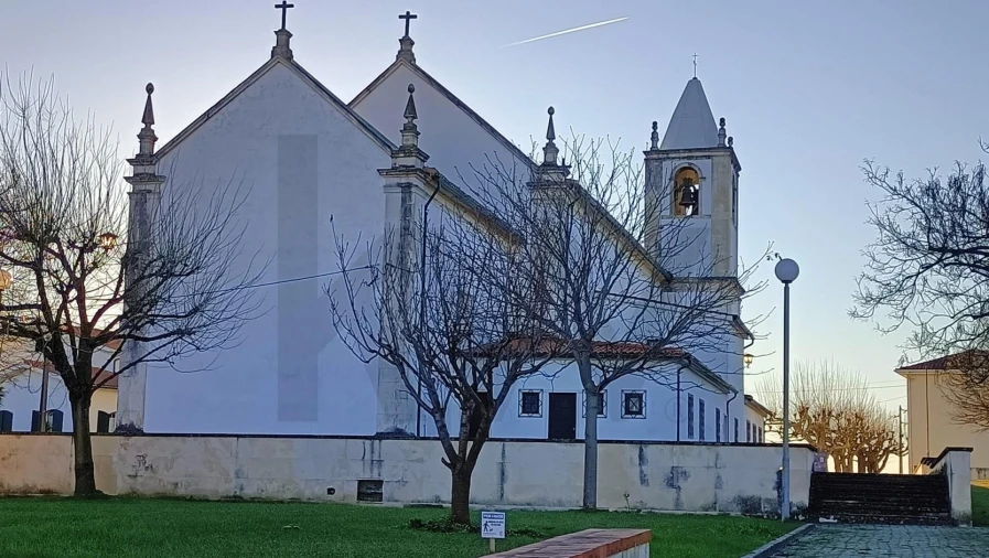 Terreno para Venda em Sangalhos Foto 8