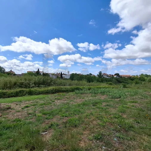 Terreno para Venda em Sangalhos Foto 6