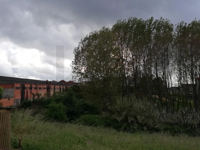 Terreno para Venda em Sangalhos Foto 4