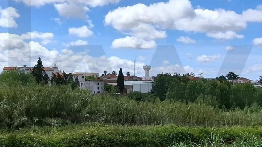 Terreno para Venda em Sangalhos