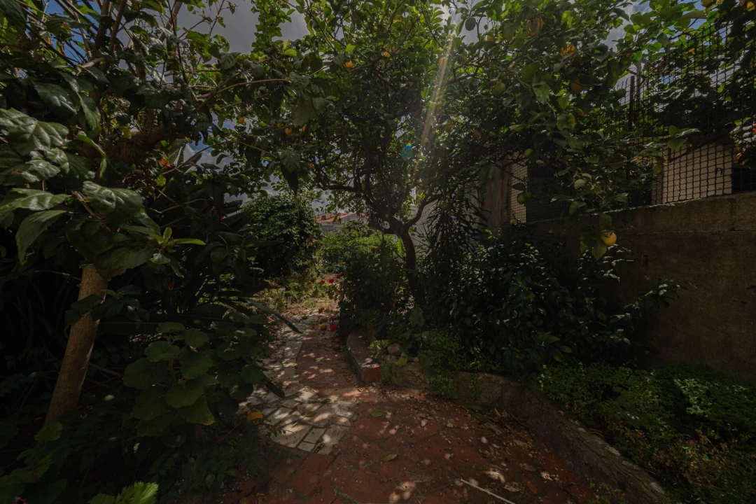 Apartamento T3 para Venda em Amora Foto 24