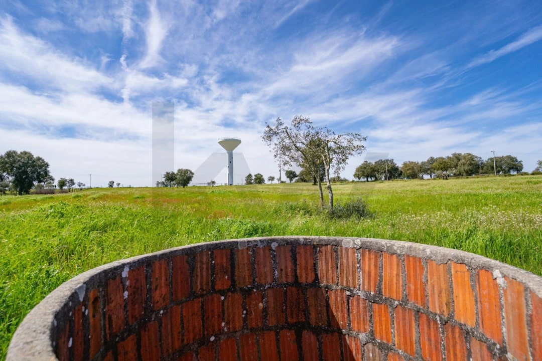 Terreno para Venda em São Jose da Lamarosa Foto 11