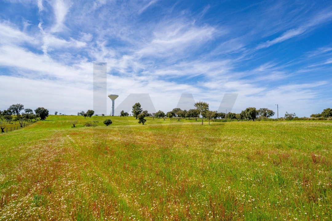 Terreno para Venda em São Jose da Lamarosa Foto 17