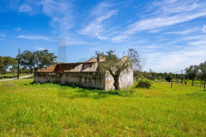 Terreno para Venda em São Jose da Lamarosa