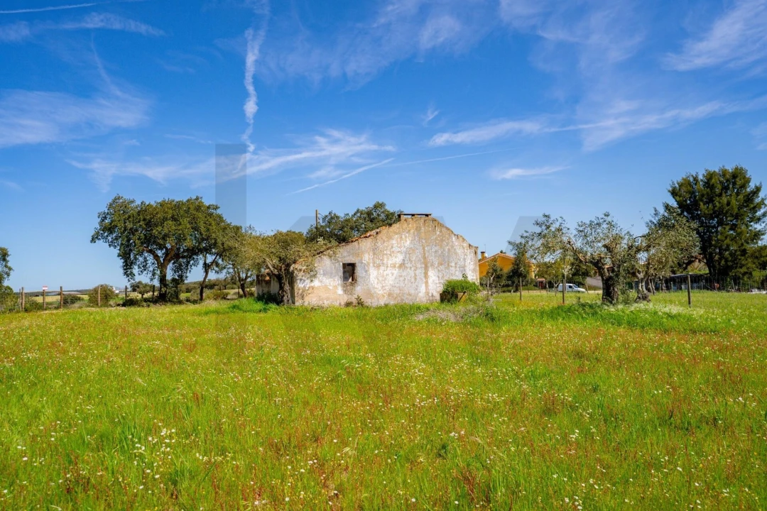 Terreno para Venda em São Jose da Lamarosa Foto 16