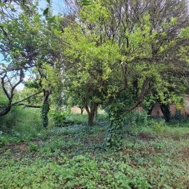 Moradia T5 para Venda em Sangalhos