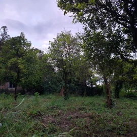 Moradia T5 para Venda em Sangalhos