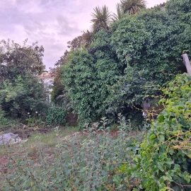 Moradia T5 para Venda em Sangalhos