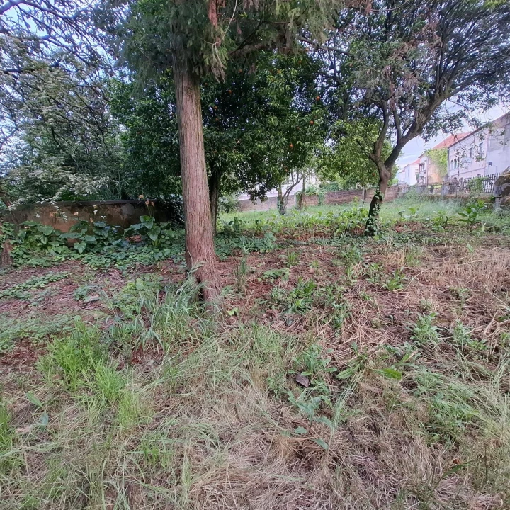 Moradia T5 para Venda em Sangalhos Foto 20