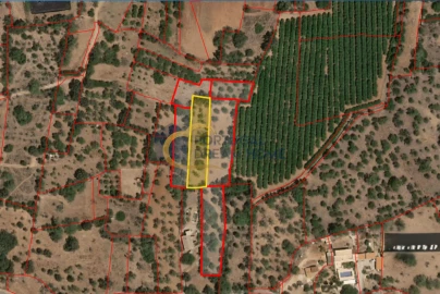 Terreno para Venda em São Bartolomeu de Messines