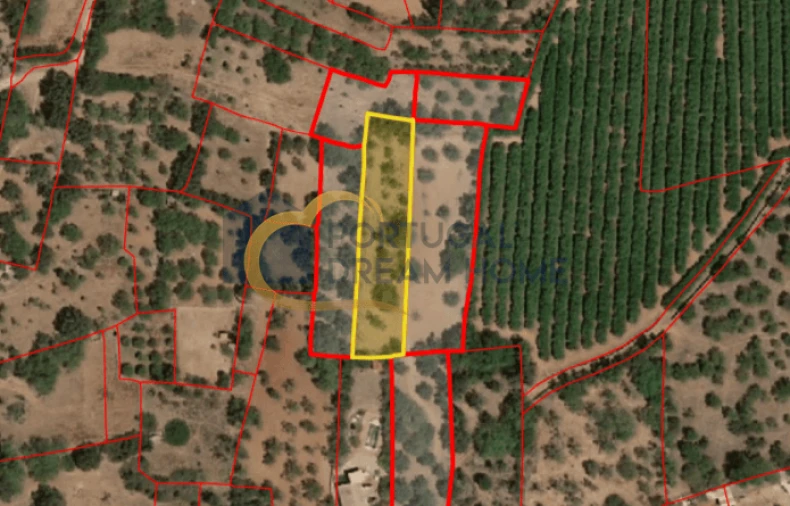 Terreno para Venda em São Bartolomeu de Messines Foto 3