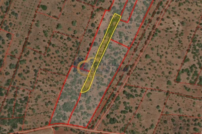 Terreno para Venda em São Bartolomeu de Messines