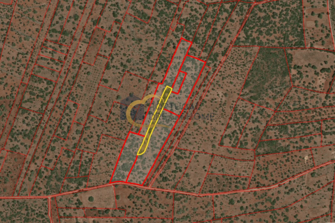 Terreno para Venda em São Bartolomeu de Messines Foto 2