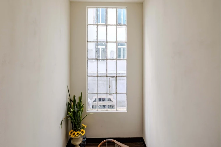 Apartamento T1 para Venda em São Vicente Foto 3