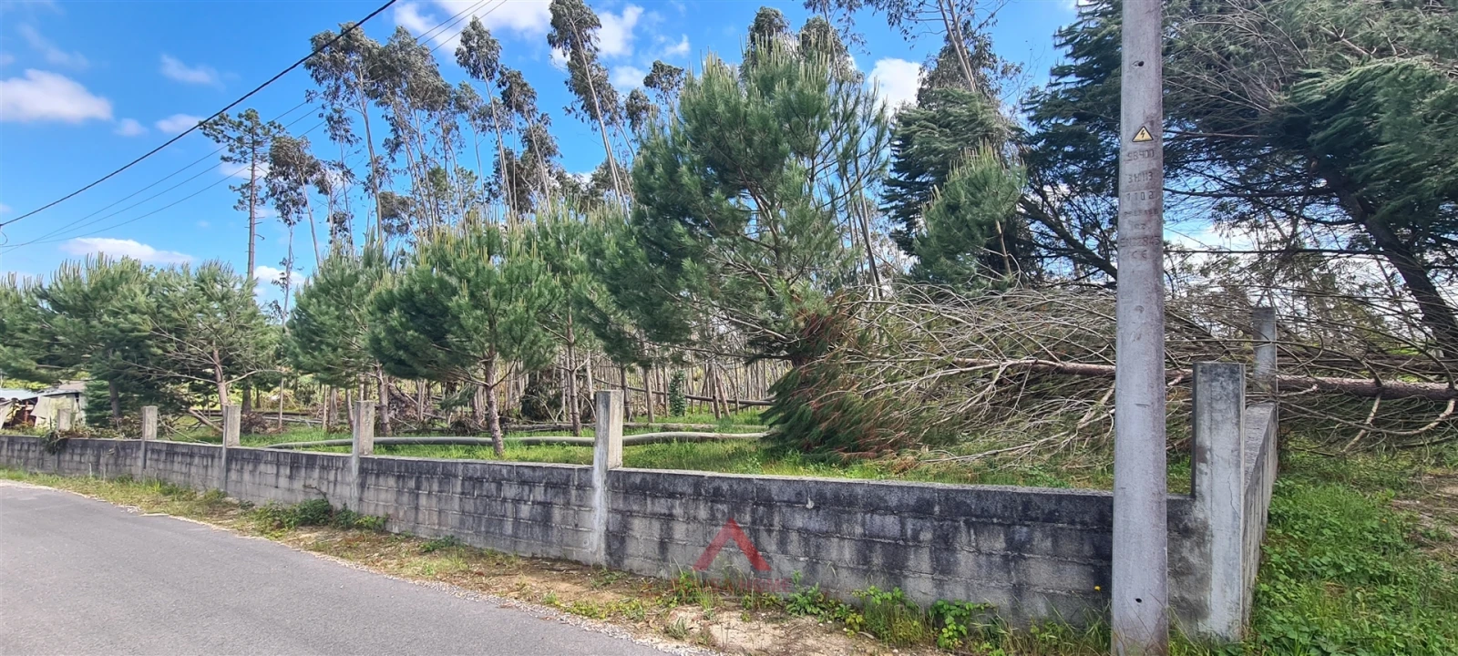 Terreno Agricola ou Rústico para Venda em Maceira Foto 3