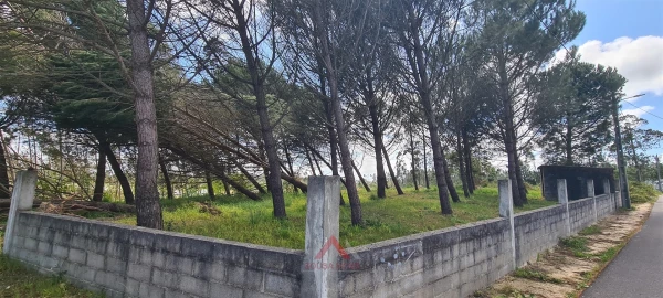 Terreno Agricola ou Rústico para Venda em Maceira