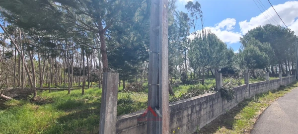 Terreno Agricola ou Rústico para Venda em Maceira