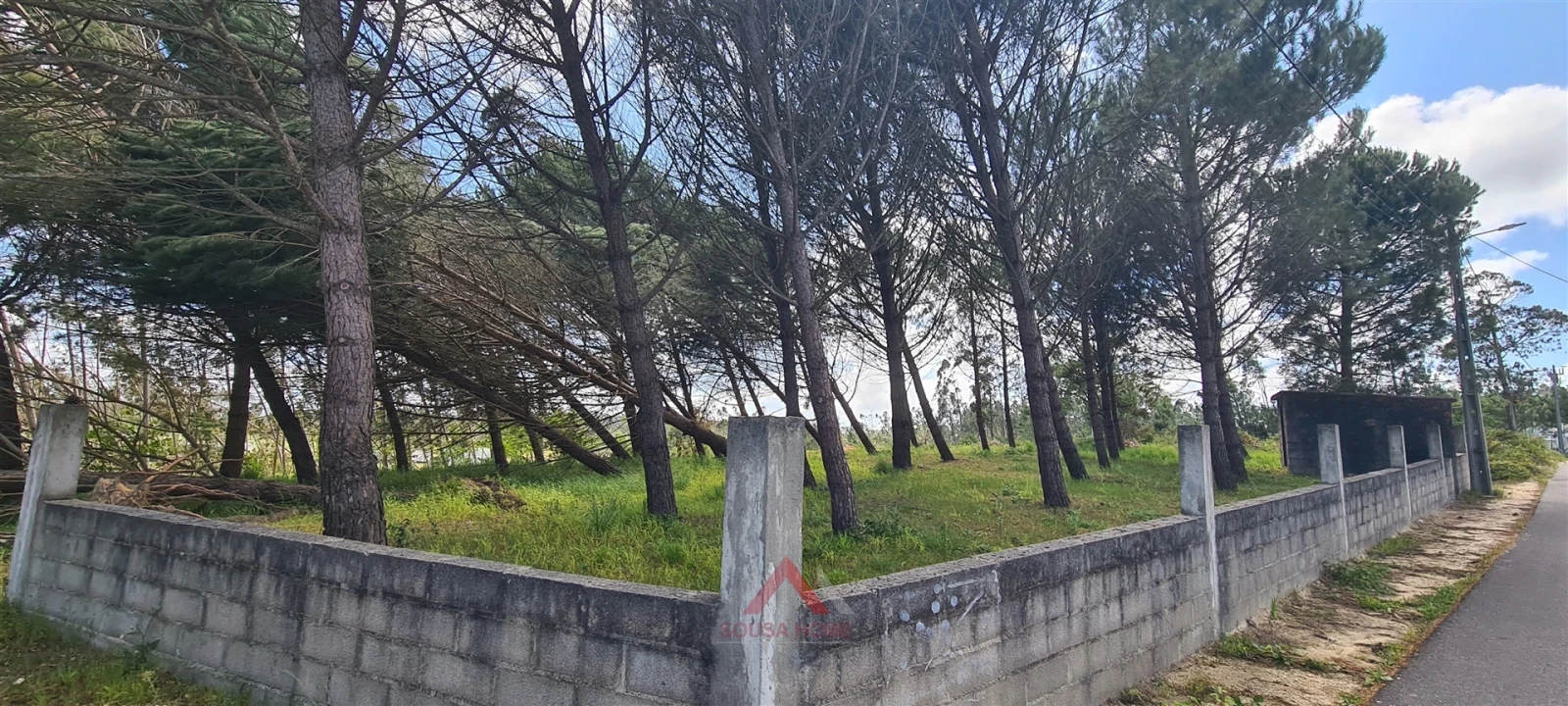 Terreno Agricola ou Rústico para Venda em Maceira Foto 1
