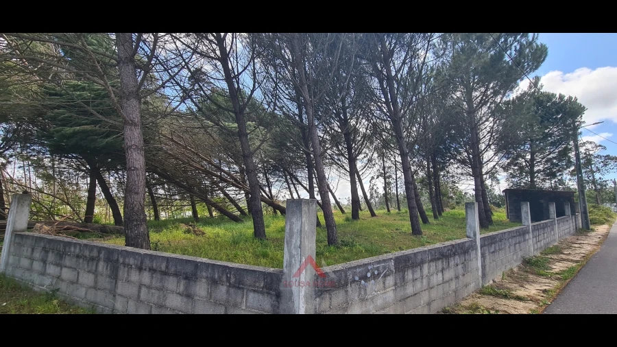 Terreno Agricola ou Rústico para Venda em Maceira