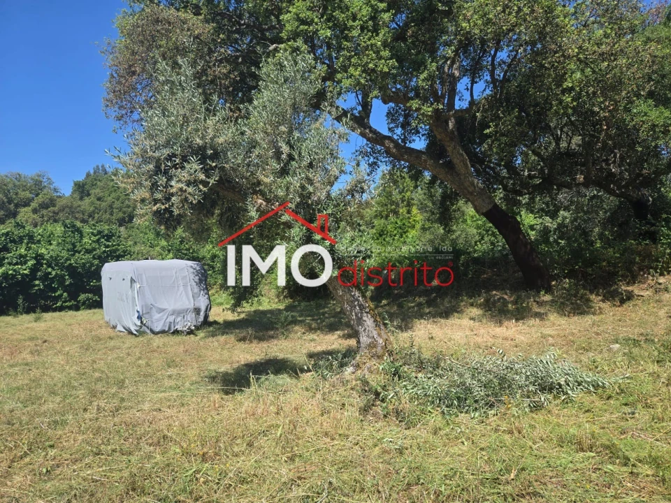 Terreno Agricola ou Rústico para Venda em Santo Antonio das Areias Foto 1